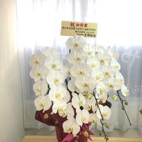 画像238