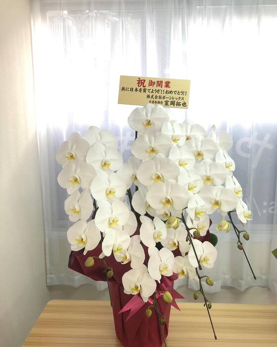 画像238